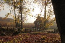 Leśne cmentarze
