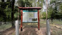 Zachować od zapomnienia - rewitalizacja cmentarza wojennego w Swaderkach