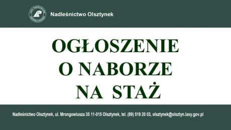 NABÓR NA STAŻ